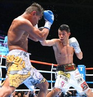 亀田興毅のボクシング